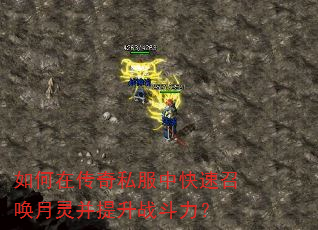 如何在传奇私服中快速召唤月灵并提升战斗力? 如何在传奇私服中快速召唤月灵并提升战斗力?