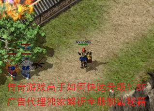 传奇游戏高手如何快速升级?SF广告代理独家解析全服制霸秘籍 传奇游戏高手如何快速升级?SF广告代理独家解析全服制霸秘籍