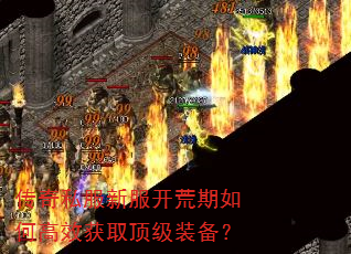 传奇私服新服开荒期如何高效获取顶级装备? 传奇私服新服开荒期如何高效获取顶级装备?