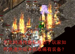 东北网通传奇私服新手玩家如何快速升级并获取稀有装备? 东北网通传奇私服新手玩家如何快速升级并获取稀有装备?