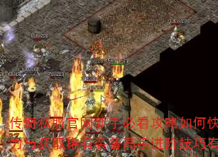 ˽ֱؿοսȡϡװֽ׼Щ