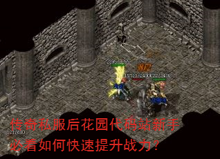 传奇私服后花园代码站新手必看如何快速提升战力? 传奇私服后花园代码站新手必看如何快速提升战力?