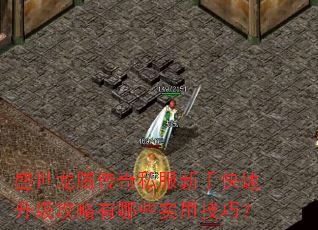 盛世龙腾传奇私服新手快速升级攻略有哪些实用技巧? 盛世龙腾传奇私服新手快速升级攻略有哪些实用技巧?