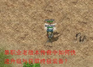 单职业老版本传奇中如何快速升级与获取终极装备? 单职业老版本传奇中如何快速升级与获取终极装备?