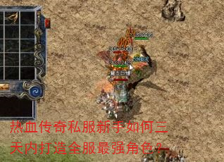 热血传奇私服新手如何三天内打造全服最强角色? 热血传奇私服新手如何三天内打造全服最强角色?