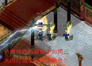热血传奇私服新手如何三天内打造全服最强角色? 热血传奇私服新手如何三天内打造全服最强角色?