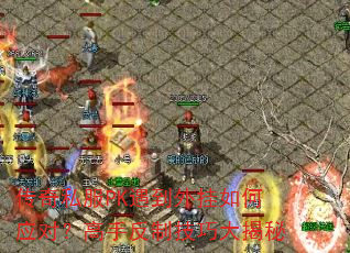 传奇私服PK遇到外挂如何应对?高手反制技巧大揭秘 传奇私服PK遇到外挂如何应对?高手反制技巧大揭秘