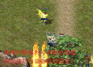 传奇内部福利号有哪些隐藏升级技巧与装备获取秘诀? 传奇内部福利号有哪些隐藏升级技巧与装备获取秘诀?