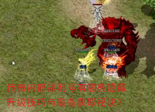 传奇内部福利号有哪些隐藏升级技巧与装备获取秘诀? 传奇内部福利号有哪些隐藏升级技巧与装备获取秘诀?