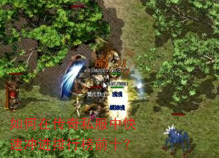 如何在传奇私服中快速冲进排行榜前十? 如何在传奇私服中快速冲进排行榜前十?