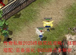 传奇私服2025终极实战攻略:技能搭配/装备强化/BOSS蹲点全解析 传奇私服2025终极实战攻略:技能搭配/装备强化/BOSS蹲点全解析