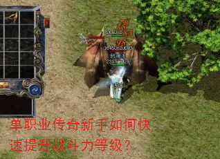 单职业传奇新手如何快速提升战斗力等级? 单职业传奇新手如何快速提升战斗力等级?