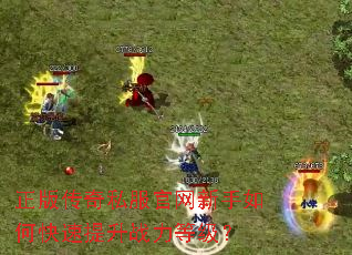 ���洫��˽������������ο�������ս���ȼ���