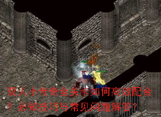 双人小传奇全关卡如何高效配合?必知技巧与常见问题解答? 双人小传奇全关卡如何高效配合?必知技巧与常见问题解答?