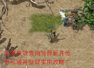 如何高效查询每日新开传奇私服并获取实用攻略? 如何高效查询每日新开传奇私服并获取实用攻略?