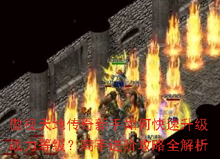 傲视天地传奇新手如何快速升级战力等级?高手进阶攻略全解析 傲视天地传奇新手如何快速升级战力等级?高手进阶攻略全解析