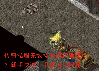 传奇私服无敌挂如何正确使用?新手快速上手攻略大揭秘 传奇私服无敌挂如何正确使用?新手快速上手攻略大揭秘