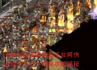 ����˽���ϻ���������ο�������ս�������ҹ��Խ���