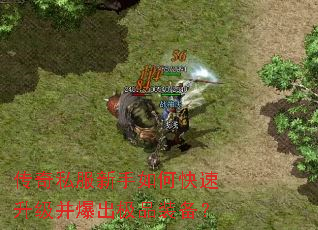 传奇私服新手如何快速升级并爆出极品装备? 传奇私服新手如何快速升级并爆出极品装备?