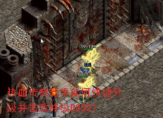 ��Ѫ����������ο��������������ռ�BOSS��