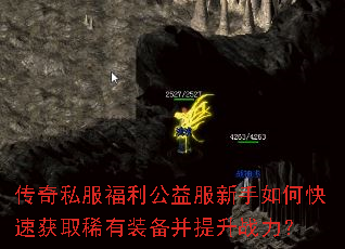 传奇私服福利公益服新手如何快速获取稀有装备并提升战力? 传奇私服福利公益服新手如何快速获取稀有装备并提升战力?