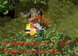 新手如何快速提升战力?传奇私服新开SF必备技巧解析 新手如何快速提升战力?传奇私服新开SF必备技巧解析