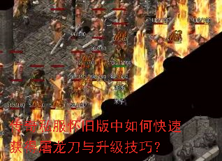 ����˽�����ɰ�����ο��ٻ�����������������ɣ�