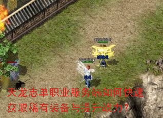 天龙志单职业服务端如何快速获取稀有装备与提升战力? 天龙志单职业服务端如何快速获取稀有装备与提升战力?