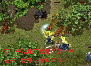 玩传奇私服下载哪个客户端最好?新手必看攻略解析 玩传奇私服下载哪个客户端最好?新手必看攻略解析