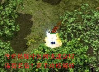 ����˽������ο��ٻ�ȡϡ��װ�������ֹ��Խ���