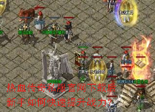 ��Ѫ����˽���������غ�������ο�������ս����