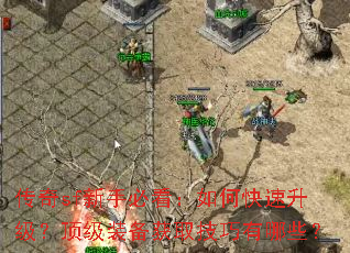 传奇sf新手必看:如何快速升级?顶级装备获取技巧有哪些? 传奇sf新手必看:如何快速升级?顶级装备获取技巧有哪些?