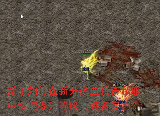 新手如何在新开热血传奇私服中快速提升等级与装备实力? 新手如何在新开热血传奇私服中快速提升等级与装备实力?