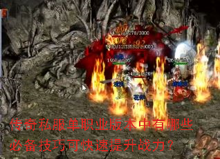 ����˽����ְҵ�汾������Щ�ر����ɿɿ�������ս����