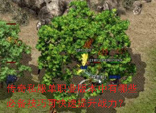 ����˽����ְҵ�汾������Щ�ر����ɿɿ�������ս����