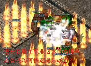 ����˽����ְҵ�汾������Щ�ر����ɿɿ�������ս����