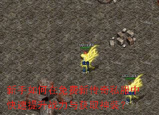 新手如何在免费新传奇私服中快速提升战力与获取神装? 新手如何在免费新传奇私服中快速提升战力与获取神装?