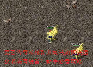 ��̬����˽���¿���վ��ο��ٻ�ȡϡ��װ�������ֱؿ�����