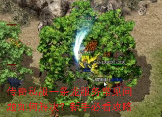 ����˽��һ�������񳣼�������ν�������ֱؿ�����