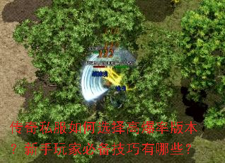 传奇私服如何选择高爆率版本?新手玩家必备技巧有哪些? 传奇私服如何选择高爆率版本?新手玩家必备技巧有哪些?