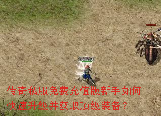 传奇私服免费充值版新手如何快速升级并获取顶级装备? 传奇私服免费充值版新手如何快速升级并获取顶级装备?