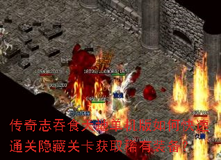 传奇志吞食天地单机版如何快速通关隐藏关卡获取稀有装备? 传奇志吞食天地单机版如何快速通关隐藏关卡获取稀有装备?