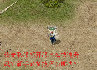传奇私服新开服怎么快速升级?新手必备技巧有哪些? 传奇私服新开服怎么快速升级?新手必备技巧有哪些?