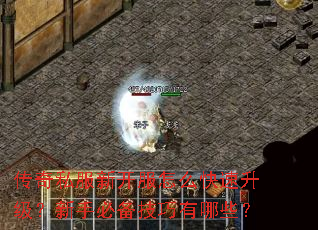 传奇私服新开服怎么快速升级?新手必备技巧有哪些? 传奇私服新开服怎么快速升级?新手必备技巧有哪些?