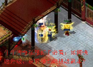 牛牛传奇私服新手必看:如何快速升级、获取神装与挑战副本? 牛牛传奇私服新手必看:如何快速升级、获取神装与挑战副本?