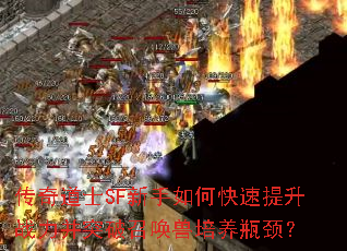 传奇道士SF新手如何快速提升战力并突破召唤兽培养瓶颈? 传奇道士SF新手如何快速提升战力并突破召唤兽培养瓶颈?