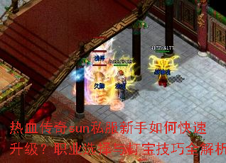 热血传奇sun私服新手如何快速升级?职业选择与打宝技巧全解析 热血传奇sun私服新手如何快速升级?职业选择与打宝技巧全解析