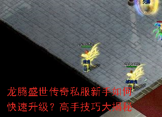 龙腾盛世传奇私服新手如何快速升级?高手技巧大揭秘 龙腾盛世传奇私服新手如何快速升级?高手技巧大揭秘
