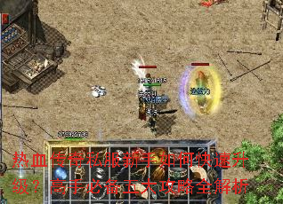 ��Ѫ����˽��������ο������������ֱر������ȫ����