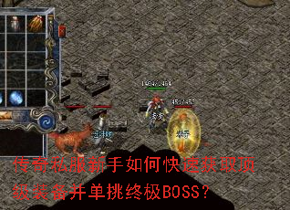 ����˽��������ο��ٻ�ȡ����װ���������ռ�BOSS��